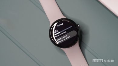 A Google Pixel Watch 3 dispalys 33% charge remaining.