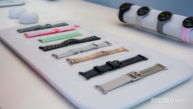 قد تكون مبيعات Pixel Watch 3 Performance Loop Band قريبة جدًا