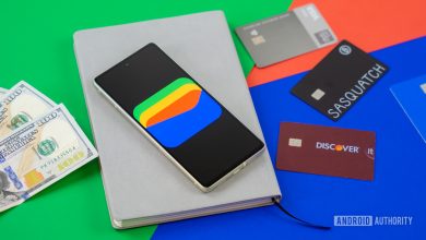 Google Wallet logo on smartphone next to credit cards and cash Stock photo 10