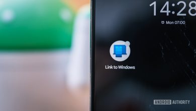 Link to Windows app