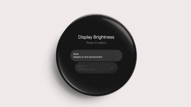 Nest Learning Thermostat brightness