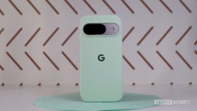 Official Google Pixel 9 case logo