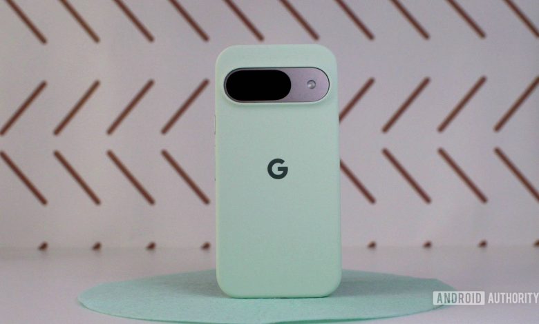 Official Google Pixel 9 case logo