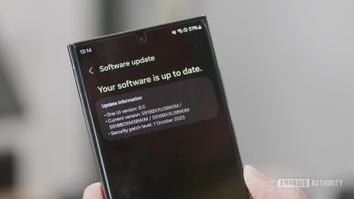 One UI 6 software update screen