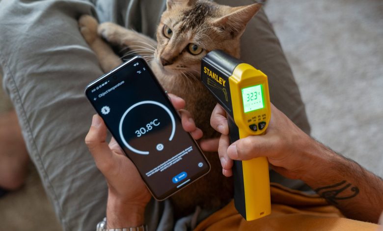 Pixel 8 Pro vs Stanley IR Thermometer measuring a cat's temperature