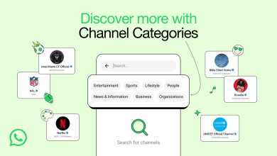 WhatsApp Channel Categories