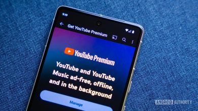 يقدم لك YouTube سببًا آخر للانتقال إلى Premium