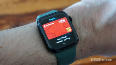 apple watch series 5 apple pay