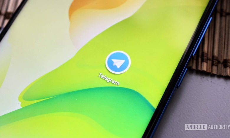 The Telegram icon on an HONOR View 20 on a green background.