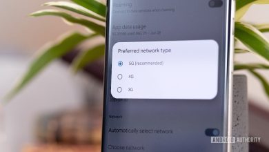 5G Preferred Network Setting