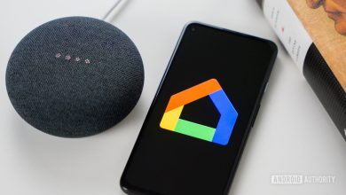 Google Home app stock photo 2