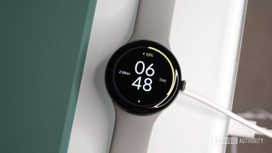 A Google Pixel Watch 3 rests on its charger.