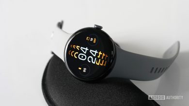 A Google Pixel Watch 3 displays the Loss of Pulse safety feature.