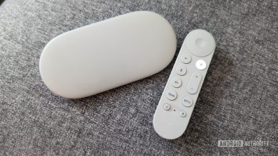 مشاكل Google TV Streamer وكيفية حلها