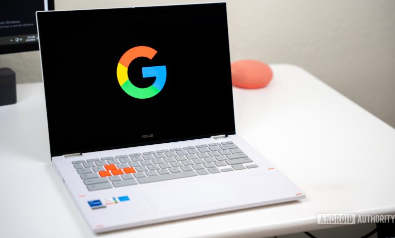 Google or Google Search logo on Chromebook laptop stock photo (1)