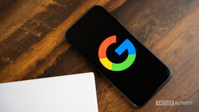 Google or Google Search logo on smartphone stock photo (2)