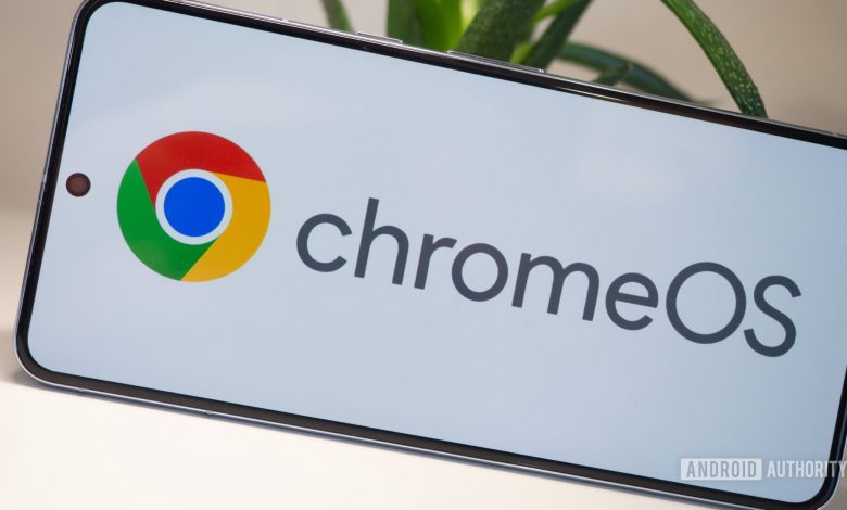 chrome os logo google pixel 8 pro 1