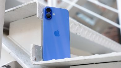 iPhone 16 Plus Ultramarine rear