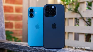 iPhone 16 Pro and iPhone 16 hero