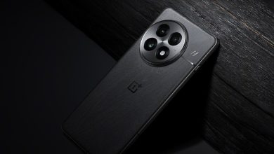 oneplus 13 large