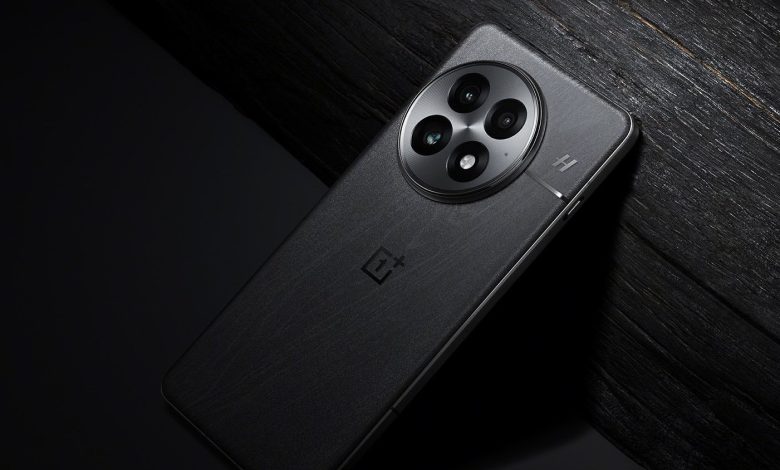 oneplus 13 large