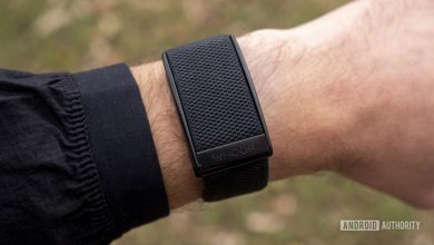 whoop strap 3.0 review on wrist