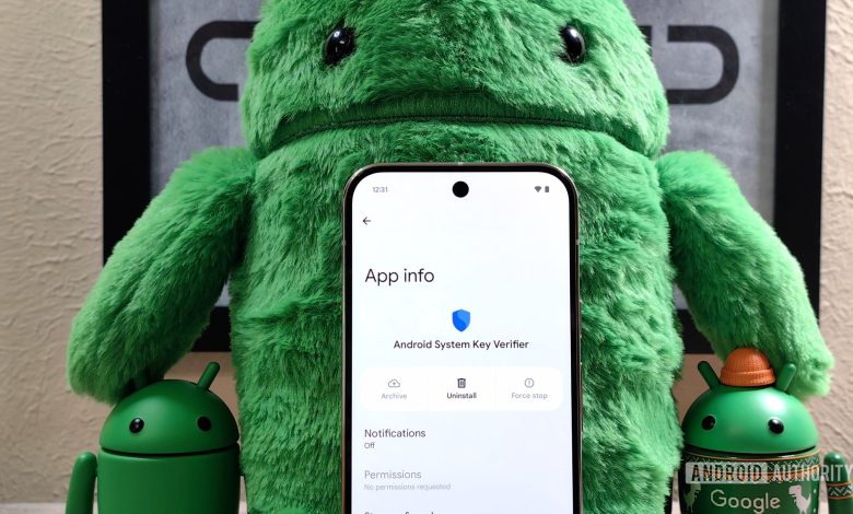 Android System Key Verifier app on a Pixel 9 Pro