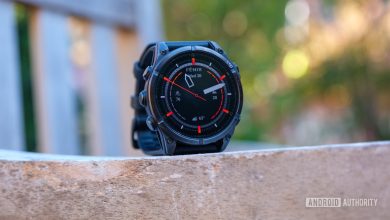 Garmin Fenix 8 AMOLED