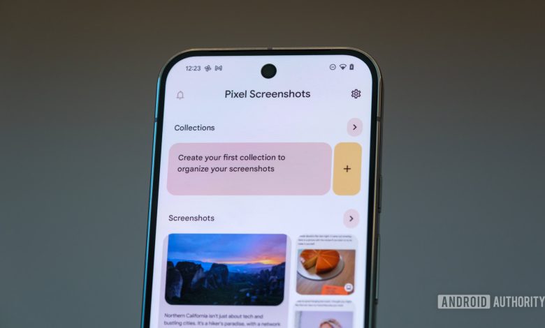 Google Pixel 9 Pro screenshots app organization