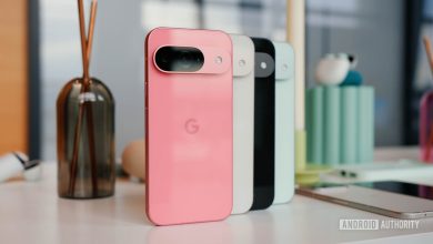 Google Pixel 9 colors side by side