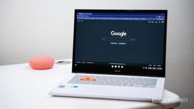 Google Search on Chromebook stock photo (1)