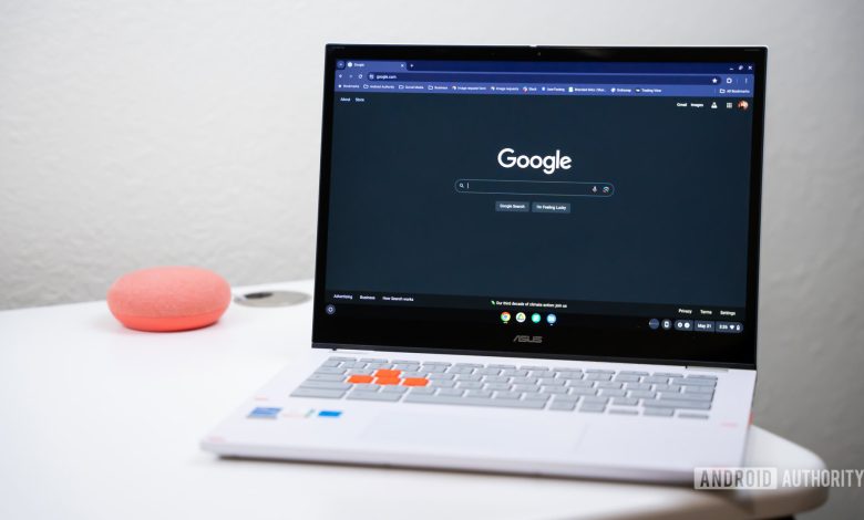 Google Search on Chromebook stock photo (1)