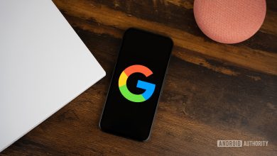 Google or Google Search logo on smartphone stock photo (1)