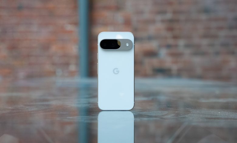 Goolge Pixel 9 Porcelain rear