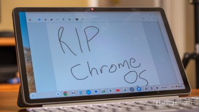 Lenovo Chromebook Duet Cursive app