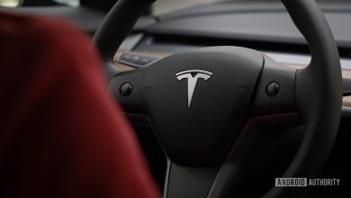 Person driving Tesla with logo showing