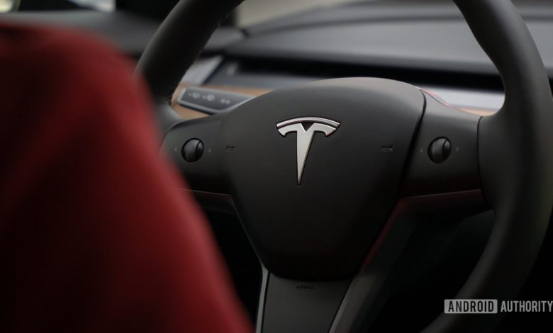 Person driving Tesla with logo showing