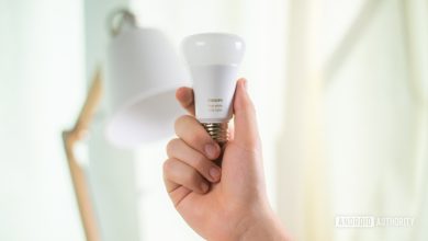 Philips Hue light bulb 1