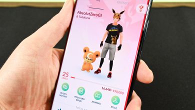 Pokemon Go Character Screen 1