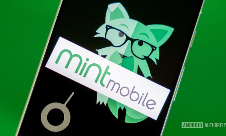 Stock photo of Mint Mobile fox on phone 1