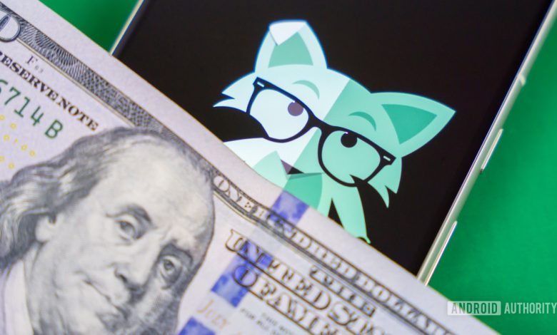 Stock photo of Mint Mobile fox on phone with money 2