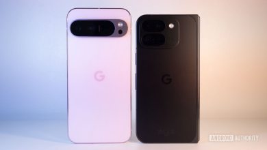 google pixel 9 pro fold vs pixel 9 pro xl back