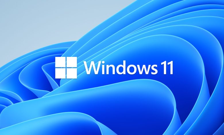 windows 11 logo