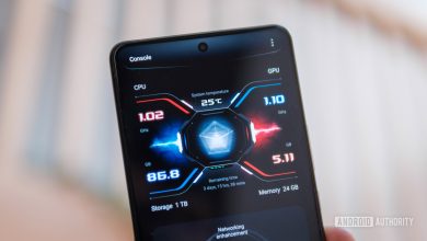 ASUS ROG Phone 9 Pro X Mode metrics