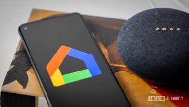 Google Home app stock photo 6