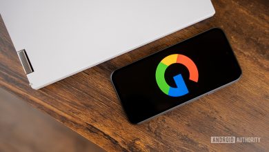 Google or Google Search logo on smartphone stock photo (9)