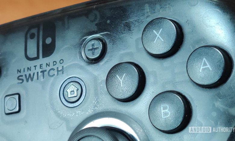 Nintendo Switch Pro Controller review textured buttons