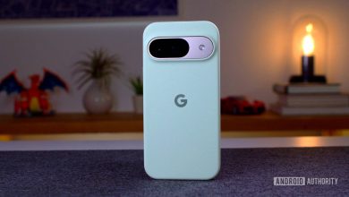 Official Google Pixel 9 case on table