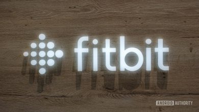 fitbit logo ifa 2023