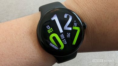 google pixel watch 1 facer watch face 2